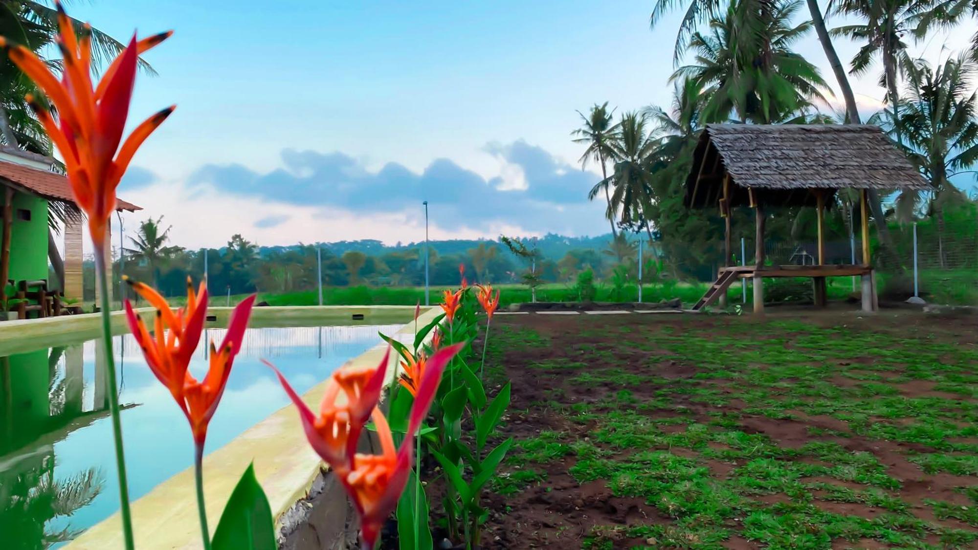Wooden Kemiren Homestay Banyuwangi Banyuwangi  Exteriér fotografie